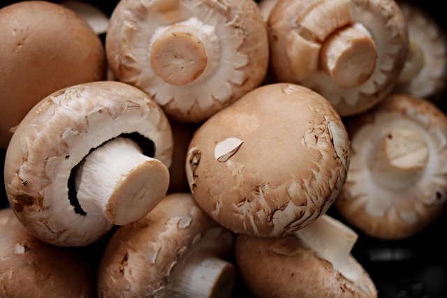 Spitskool en champignons: een culinaire verkenning van smaken en texturen